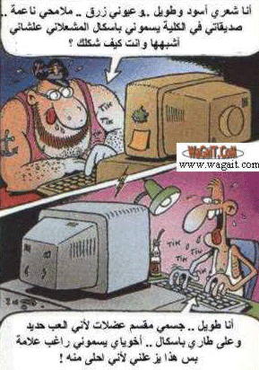 msn